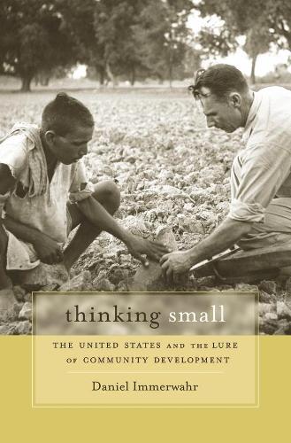 Бумажная книга «Thinking Small: The United States and the Lure of Community Development», автор Дэниел Иммервар - фото №1