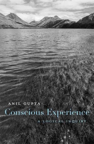 Бумажная книга «Conscious Experience: A Logical Inquiry», автор Анил Гупта - фото №1