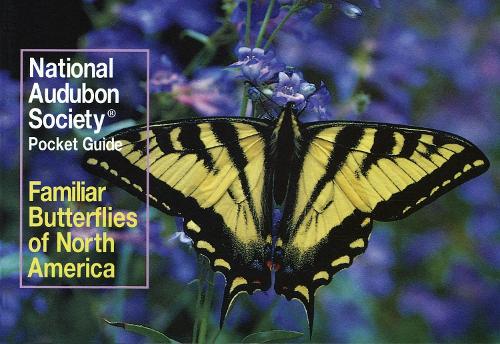 Бумажная книга «National Audubon Society Pocket Guide: Familiar Butterflies of North America», автор National Audubon Society - фото №1