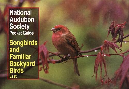 Бумажная книга «National Audubon Society Pocket Guide to Songbirds and Familiar Backyard Birds: Eastern Region: East», автор National Audubon Society - фото №1
