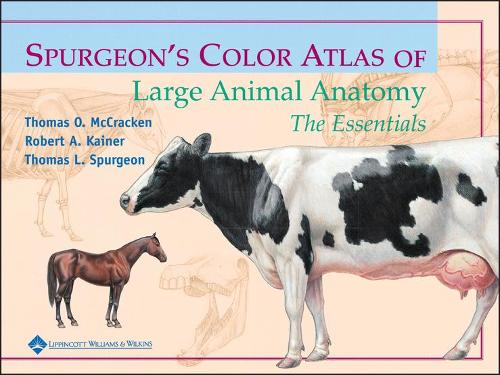 Паперова книга «Spurgeon's Color Atlas of Large Animal Anatomy: The Essentials», авторів Роберт А. Кайнер, Томас Л. Сперджен, Томас О. МакКракен - фото №1