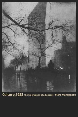 Бумажная книга «Culture, 1922: The Emergence of a Concept», автор Марк Манганаро - фото №1