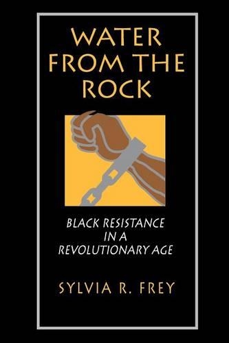 Бумажная книга «Water from the Rock: Black Resistance in a Revolutionary Age», автор Сильвия Р. Фрей - фото №1