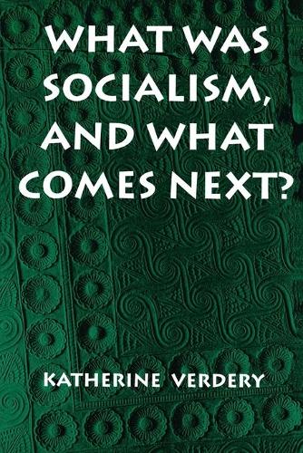 Бумажная книга «What Was Socialism, and What Comes Next?», автор Кэтрин Вердери - фото №1