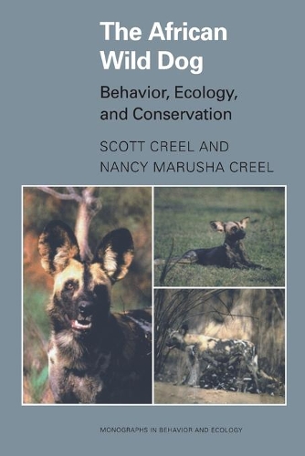 Паперова книга «The African Wild Dog: Behavior, Ecology, and Conservation», авторів Ненсі Маруша Кріл, Скотт Кріл - фото №1