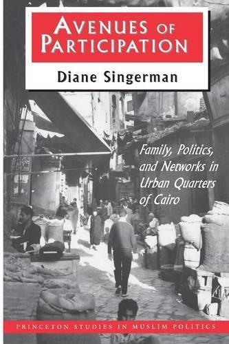 Бумажная книга «Avenues of Participation: Family, Politics, and Networks in Urban Quarters of Cairo», автор Диана Сингерман - фото №1