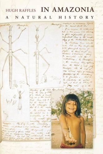 Бумажная книга «In Amazonia: A Natural History», автор Хью Раффлз - фото №1