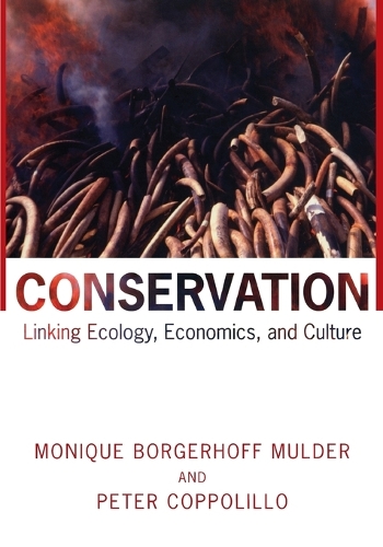 Бумажная книга «Conservation: Linking Ecology, Economics, and Culture», авторов Моника Боргерхофф Малдер, Питер Копполилло - фото №1