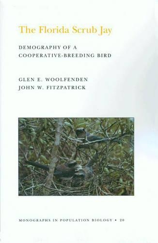 Бумажная книга «The Florida Scrub Jay (MPB-20), Volume 20: Demography of a Cooperative-Breeding Bird. (MPB-20)», авторов Глен Эверетт Вулфенден, Джон В. Фицпатрик - фото №1