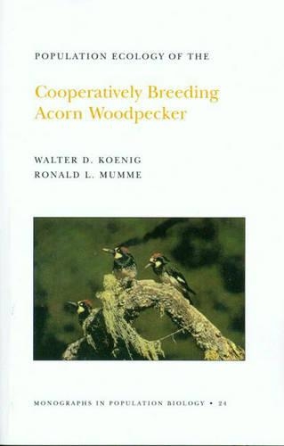 Бумажная книга «Population Ecology of the Cooperatively Breeding Acorn Woodpecker. (MPB-24), Volume 24», авторов Рональд Л. Мумм, Уолтер Д. Кениг - фото №1