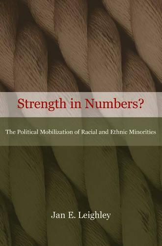 Бумажная книга «Strength in Numbers?: The Political Mobilization of Racial and Ethnic Minorities», автор Ян Э. Лейли - фото №1