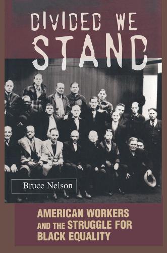 Бумажная книга «Divided We Stand: American Workers and the Struggle for Black Equality», автор Брюс Нельсон - фото №1