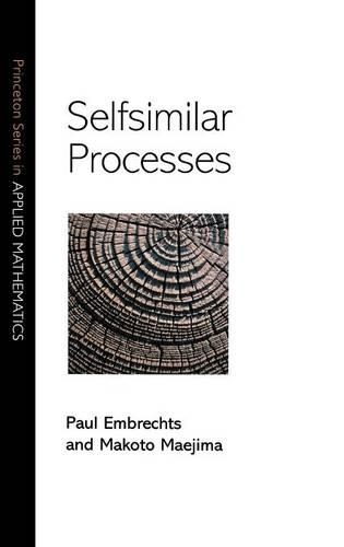 Бумажная книга «Selfsimilar Processes», автор Пол Эмбрехтс - фото №1