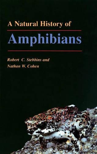 Бумажная книга «A Natural History of Amphibians», авторов Натан В. Коэн, Роберт К. Стеббинс - фото №1