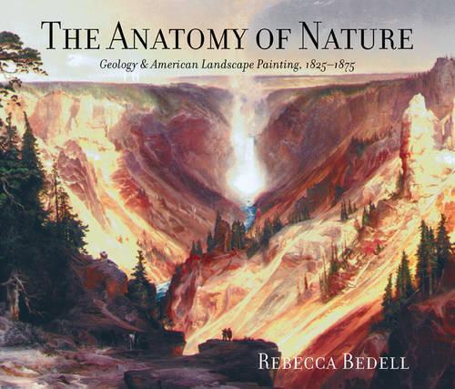 Паперова книга «The Anatomy of Nature: Geology and American Landscape Painting, 1825-1875», автор Ребекка Беделл - фото №1