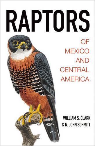 Бумажная книга «Raptors of Mexico and Central America», авторов Н. Джон Шмитт, Уильям С. Кларк - фото №1