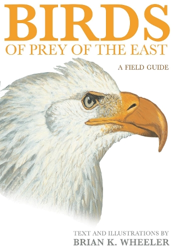 Бумажная книга «Birds of Prey of the East: A Field Guide», автор Брайан К. Уилер - фото №1
