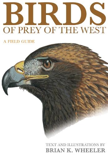 Бумажная книга «Birds of Prey of the West: A Field Guide», автор Брайан К. Уилер - фото №1