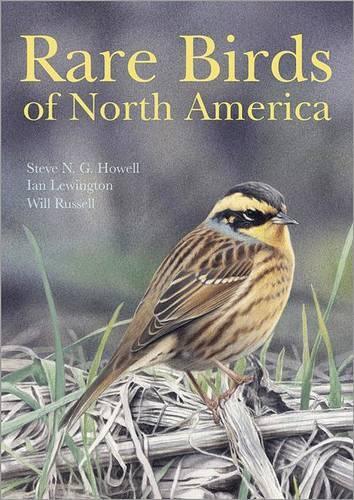 Бумажная книга «Rare Birds of North America», авторов Ян Левингтон, Стив Н. Г. Хауэлл, Уилл Рассел - фото №1