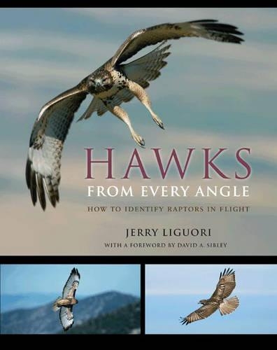 Бумажная книга «Hawks from Every Angle: How to Identify Raptors In Flight», автор Джерри Лигуори - фото №1