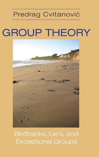 Бумажная книга «Group Theory: Birdtracks, Lie's, and Exceptional Groups», автор Предраг Цвитанович - фото №1