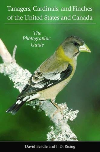 Бумажная книга «Tanagers, Cardinals, and Finches of the United States and Canada: The Photographic Guide», авторов Дэвид Бидл, Джеймс Д. Райзинг - фото №1