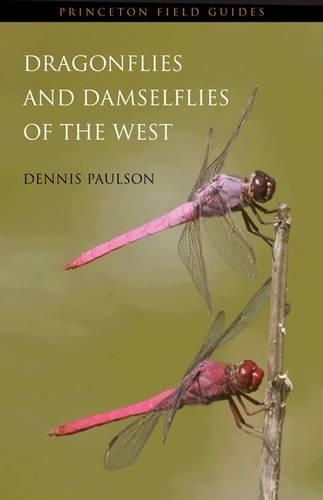 Бумажная книга «Dragonflies and Damselflies of the West», автор Деннис Полсон - фото №1