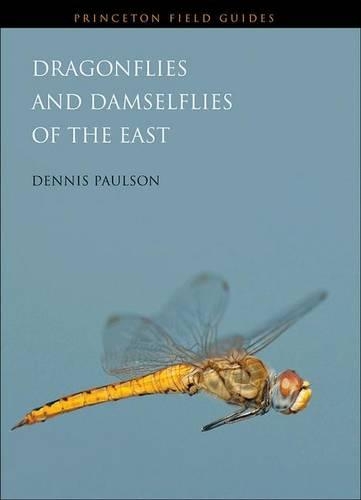 Бумажная книга «Dragonflies and Damselflies of the East», автор Деннис Полсон - фото №1