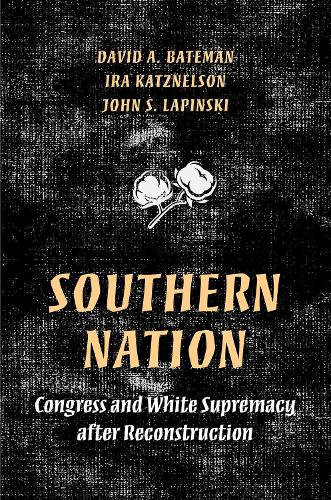 Паперова книга «Southern Nation: Congress and White Supremacy after Reconstruction» - фото №1