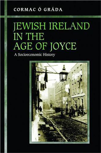 Бумажная книга «Jewish Ireland in the Age of Joyce: A Socioeconomic History», автор Кормак О Града - фото №1