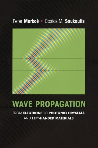 Бумажная книга «Wave Propagation: From Electrons to Photonic Crystals and Left-Handed Materials» - фото №1
