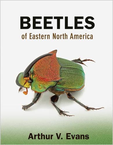 Бумажная книга «Beetles of Eastern North America», автор Артур В. Эванс - фото №1