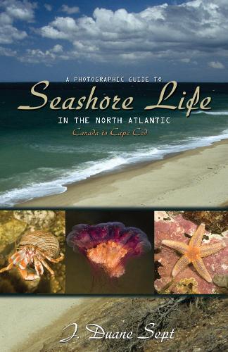 Бумажная книга «A Photographic Guide to Seashore Life in the North Atlantic: Canada to Cape Cod», автор Дж. Дуэйн Септ - фото №1