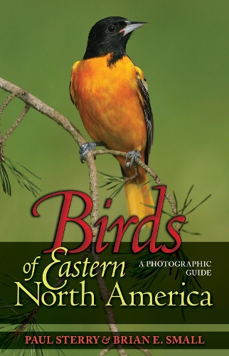Бумажная книга «Birds of Eastern North America: A Photographic Guide» - фото №1