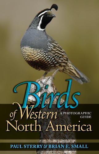 Паперова книга «Birds of Western North America: A Photographic Guide» - фото №1