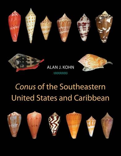 Бумажная книга «Conus of the Southeastern United States and Caribbean», автор Алан Дж. Кон - фото №1