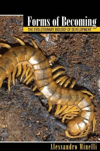 Паперова книга «Forms of Becoming: The Evolutionary Biology of Development», автор Алессандро Мінеллі - фото №1