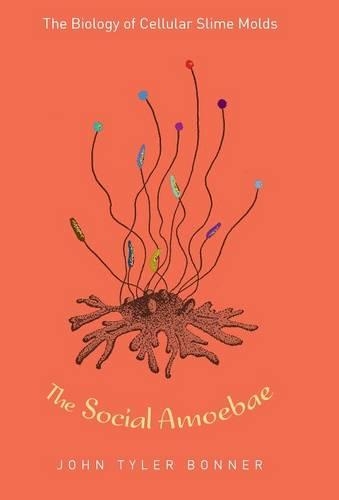 Бумажная книга «The Social Amoebae: The Biology of Cellular Slime Molds», автор Джон Тайлер Боннер - фото №1