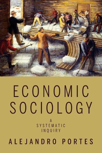 Бумажная книга «Economic Sociology: A Systematic Inquiry», автор Алехандро Портес - фото №1