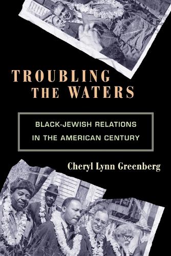 Бумажная книга «Troubling the Waters: Black-Jewish Relations in the American Century», автор Шерил Линн Гринберг - фото №1