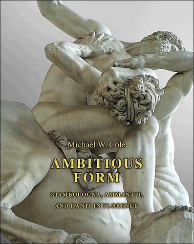Бумажная книга «Ambitious Form: Giambologna, Ammanati, and Danti in Florence», автор Майкл В. Коул - фото №1