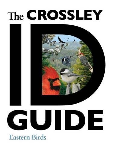 Паперова книга «The Crossley ID Guide: Eastern Birds», автор Річард Кросслі - фото №1