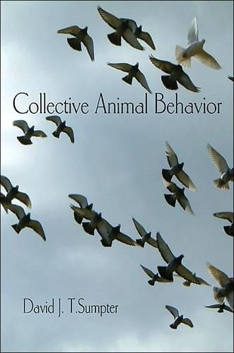 Бумажная книга «Collective Animal Behavior», автор Дэвид Дж. Т. Самптер - фото №1
