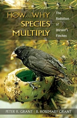 Бумажная книга «How and Why Species Multiply: The Radiation of Darwin's Finches», автор B. Розмари Грант - фото №1