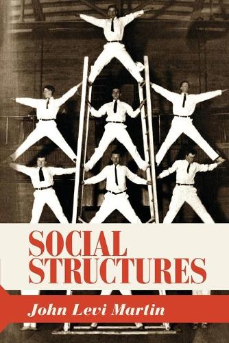 Паперова книга «Social Structures», автор Джон Леві Мартін - фото №1