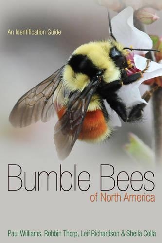 Паперова книга «Bumble Bees of North America: An Identification Guide», авторів Лейф Л. Річардсон, Пол Х. Вільямс, Роббін В. Торп, Шейла Р. Колла - фото №1
