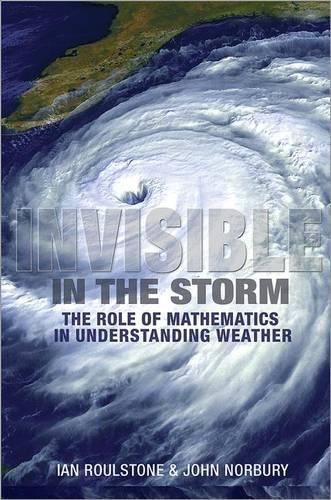 [object Object] «Invisible in the Storm: The Role of Mathematics in Understanding Weather», авторов Ян Роулстоун, Джон Норбери - фото №1