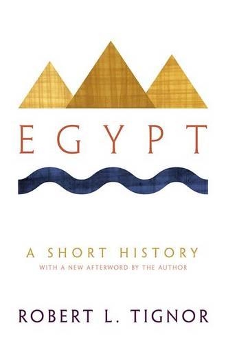 Паперова книга «Egypt: A Short History», автор Роберт Л. Тіньор - фото №1