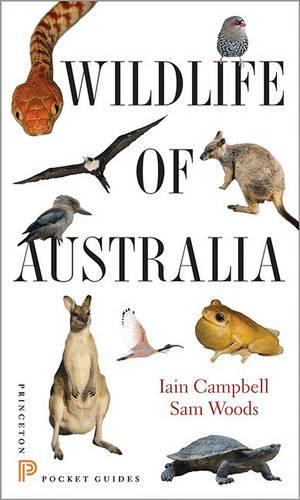 Бумажная книга «Wildlife of Australia», автор Сэм Вудс - фото №1