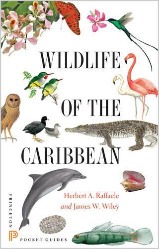 Паперова книга «Wildlife of the Caribbean», авторів Герберт А. Раффаеле, Джеймс Вайлі - фото №1